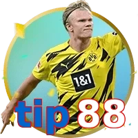 tip88
