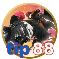 tip88