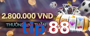 tip88
