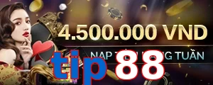 tip88
