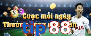 tip88